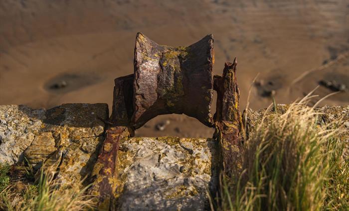 Kenfig NNR close up